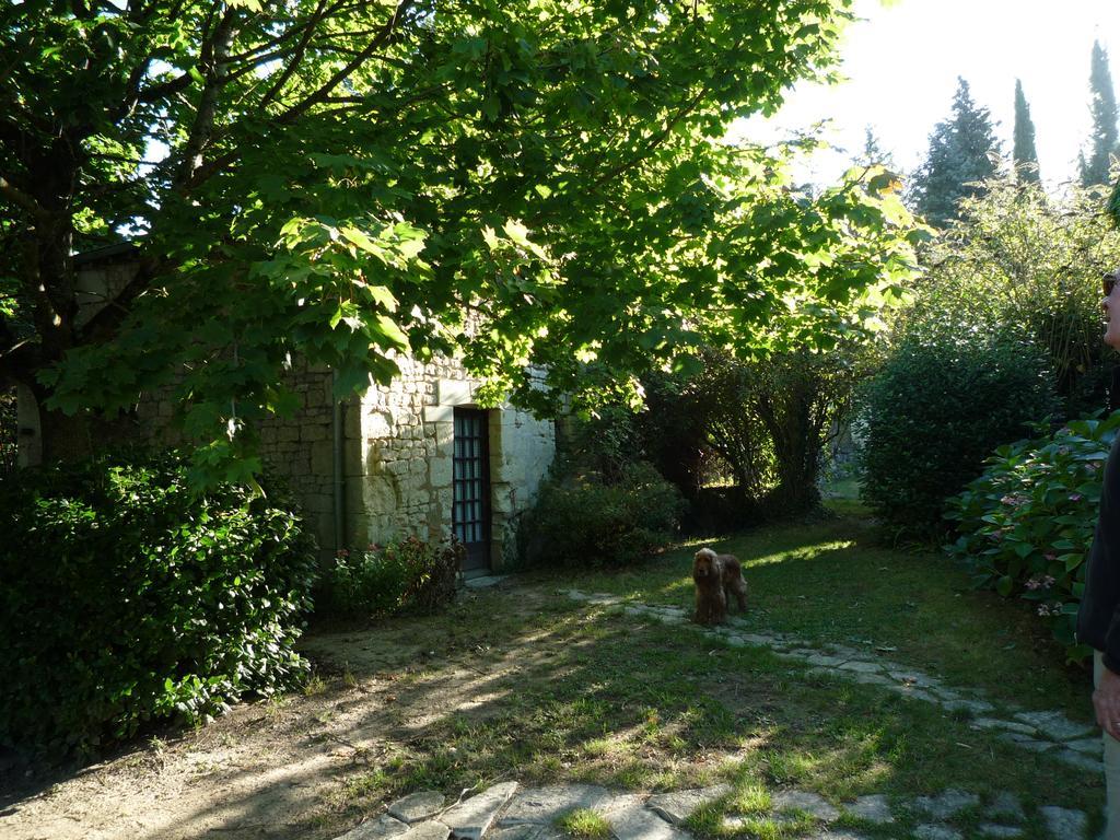 Le Logis Du Peu Girard Bed & Breakfast La Roche-Clermault Eksteriør bilde