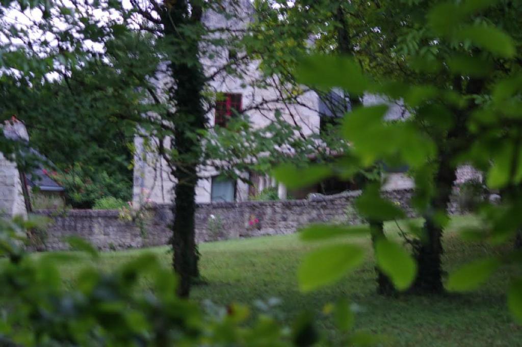 Le Logis Du Peu Girard Bed & Breakfast La Roche-Clermault Eksteriør bilde